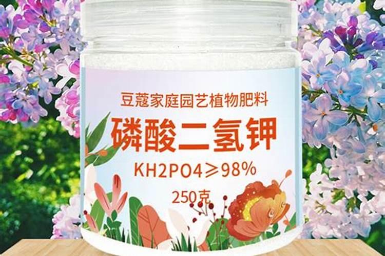 磷酸二氢钾的作用适合哪些花