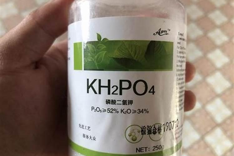 磷酸二氢钾适合哪些花