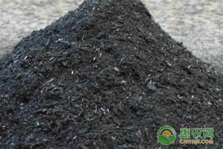 草莓各个时期的施肥方案草莓施肥时间和方法