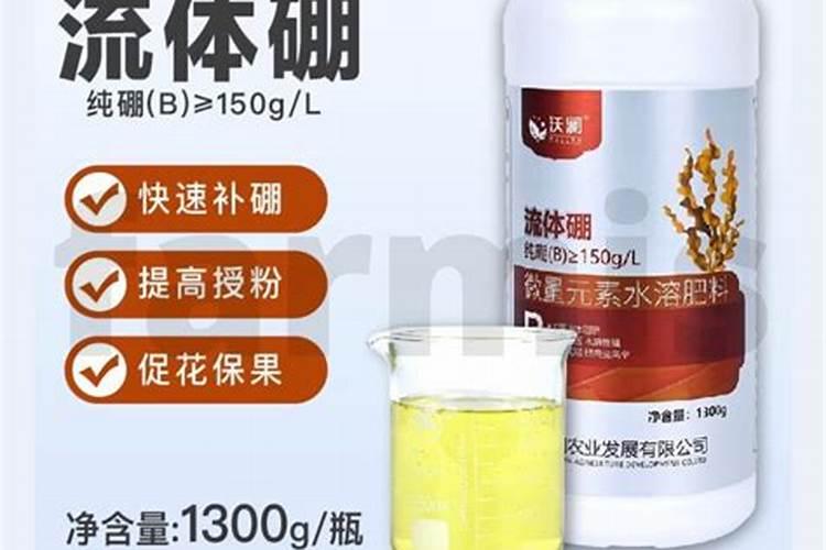 怎样防治柑橘缺硼症？