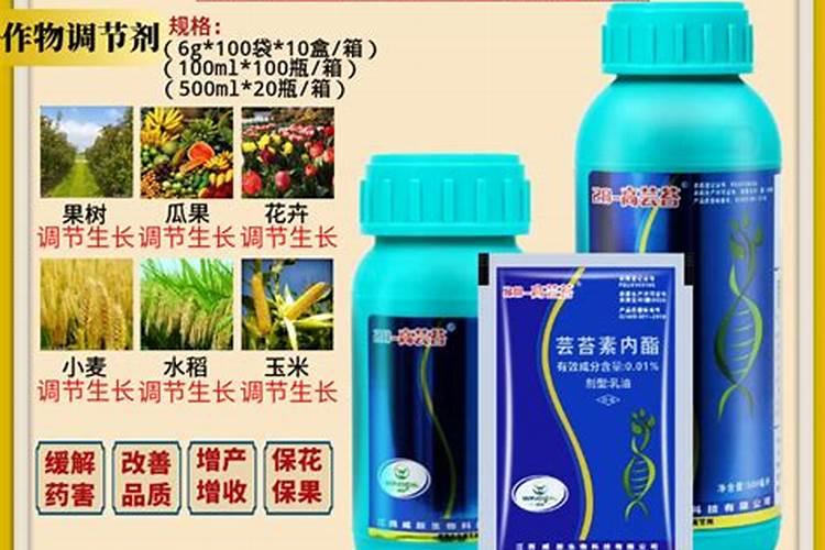 芸苔素使用技巧