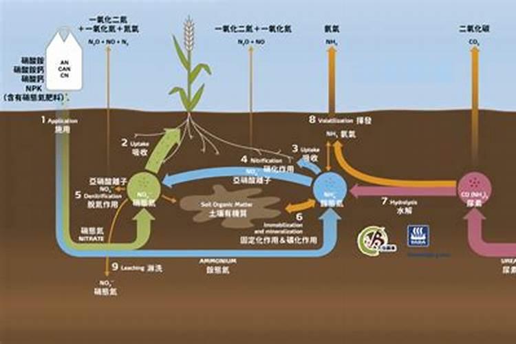 氯化铵作为氮肥使用时不能与什么混合使用？