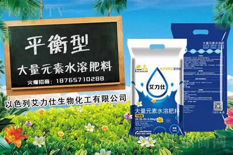 地栽月季施什么肥料最好(地栽月季花施肥开花多的技巧)