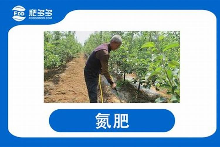 为什么要强调深施肥？