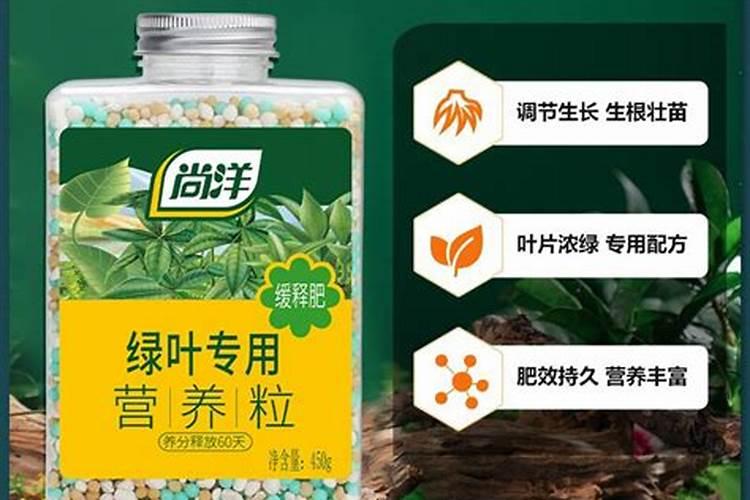 绿叶贝贝控释肥怎么样
