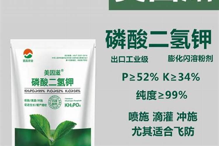 芦荟能不能用花卉绿植通用控释肥？