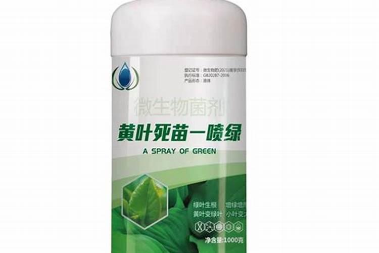 绿叶丰叶面肥效果怎么样？