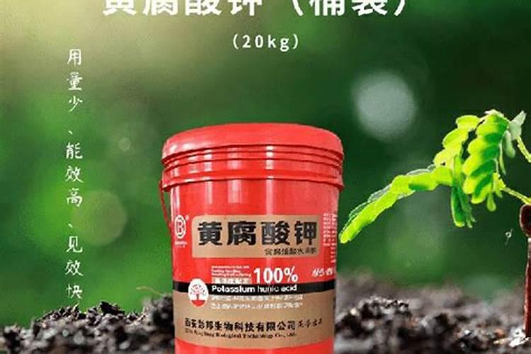 八角树用什么肥料才能有花有果？