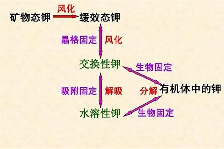 钾肥如何施用效果好,钾肥的科学施用技术