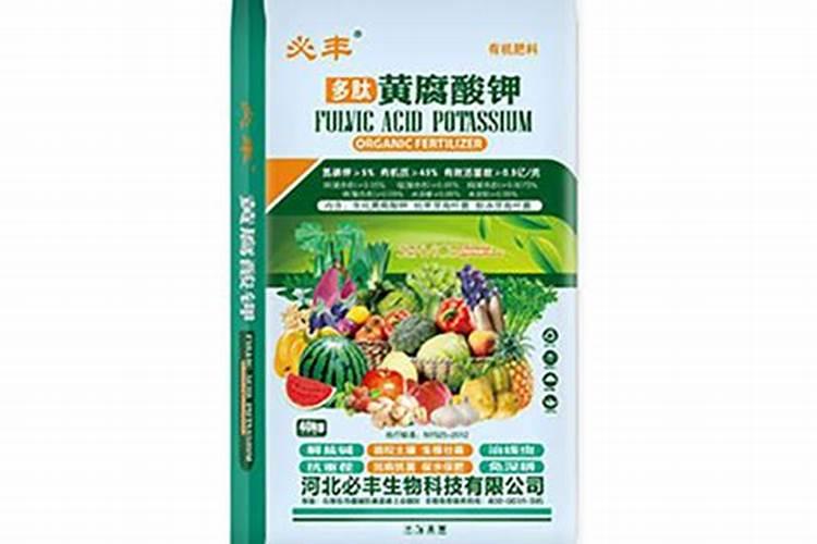 玉米大喇叭口期遭涝灾怎样施救？倒伏扶正应注意哪些问题？