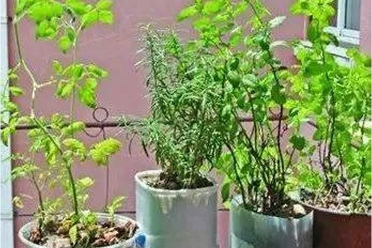 化肥施放在水田里,是否会溶解于水而流失？