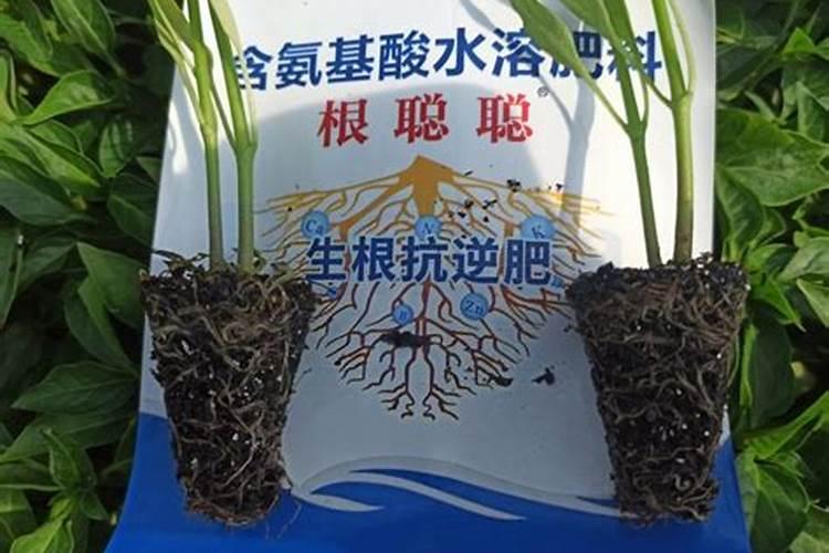 我们区一个卖种子农药化肥的小门脸你们猜人家1年赚多钱!