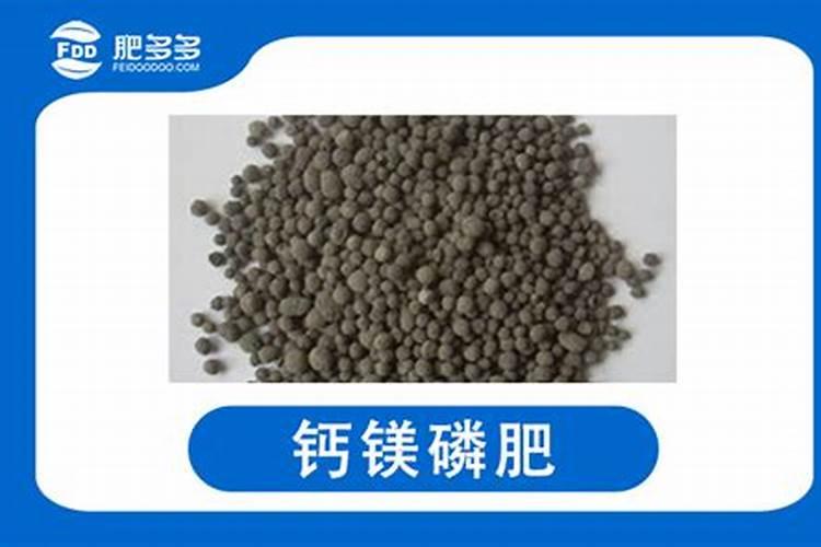 如何分辨肥料的好坏？