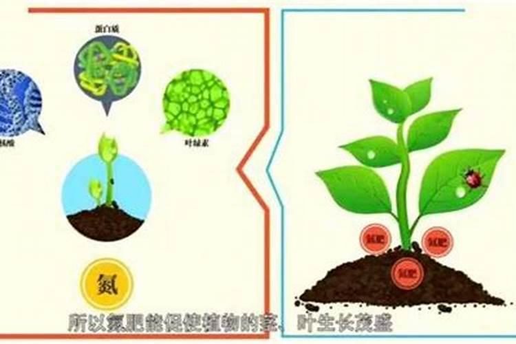 液体氮肥的使用方法