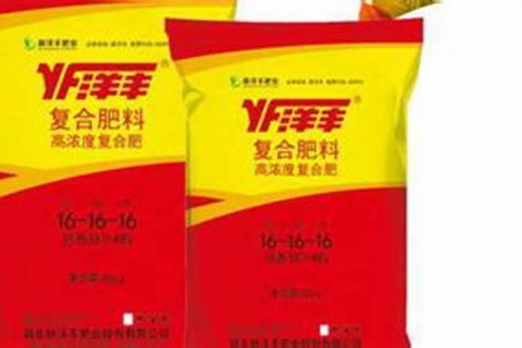 桂花用什么肥料最好最旺？