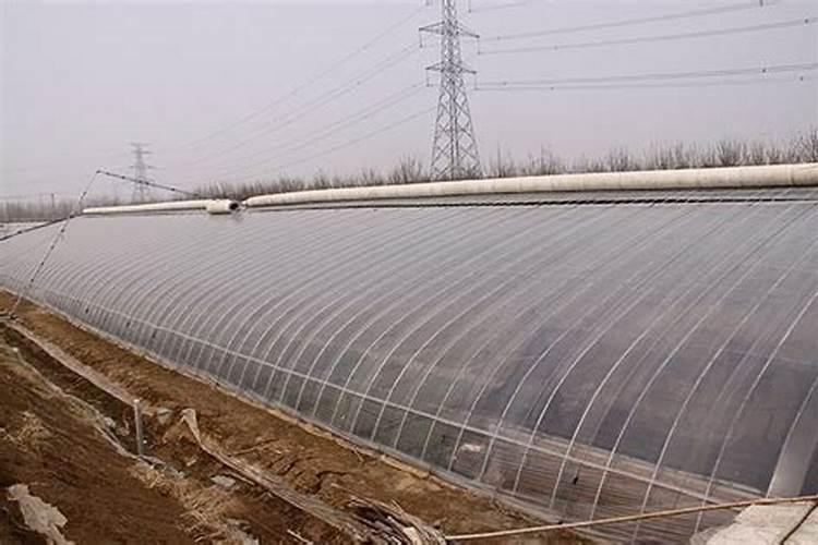 日光温室大棚黄瓜怎么施氮磷钾肥
