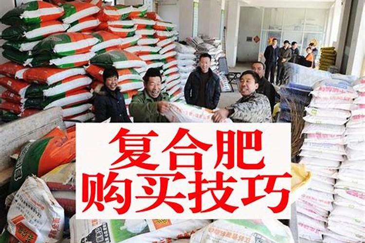 比利时复合肥怎么样