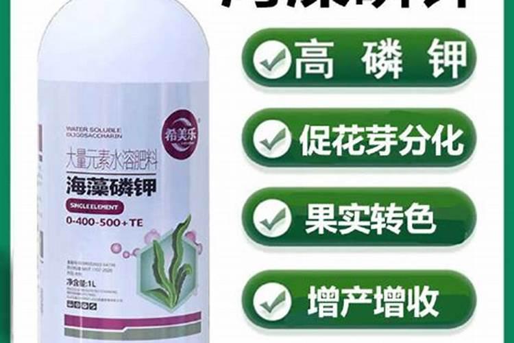 氮钾肥是什么肥料