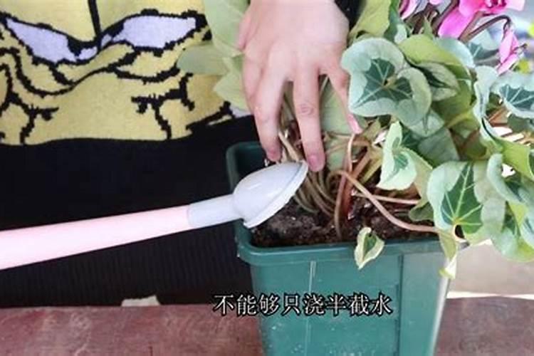 生产复合肥的氮肥 磷肥和钾肥分别有哪些