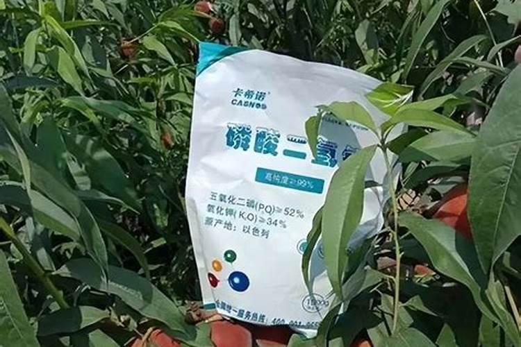 氮肥钾肥是什么肥料