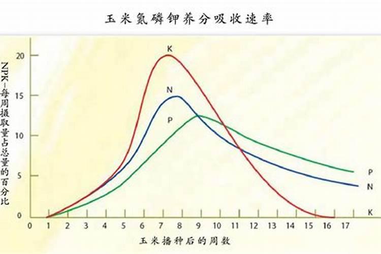 大颗粒尿素有效期是多少
