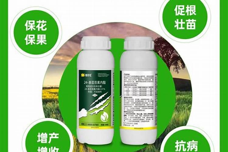 保花保果农药最佳配方