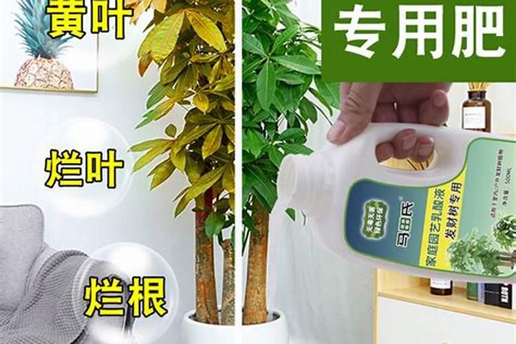 桃树用什么复合肥