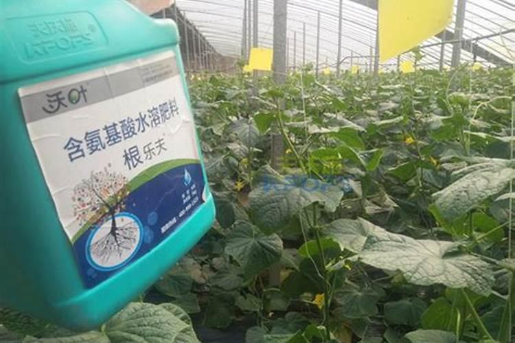 桃树施什么肥料最好