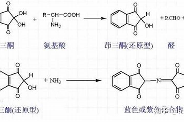 石榴树今年冬天树枝冻死了,树干还活着,应该怎么救活他的？