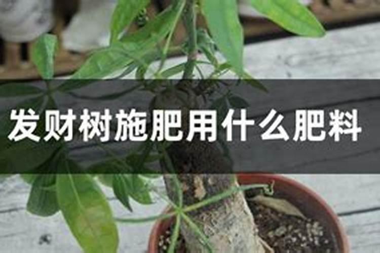 磷矿石的化学成分是什么？