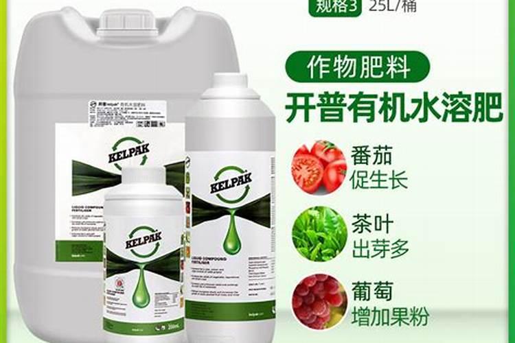西瓜的物侯期,管理措施肥水管理及病虫害防治的作物方案