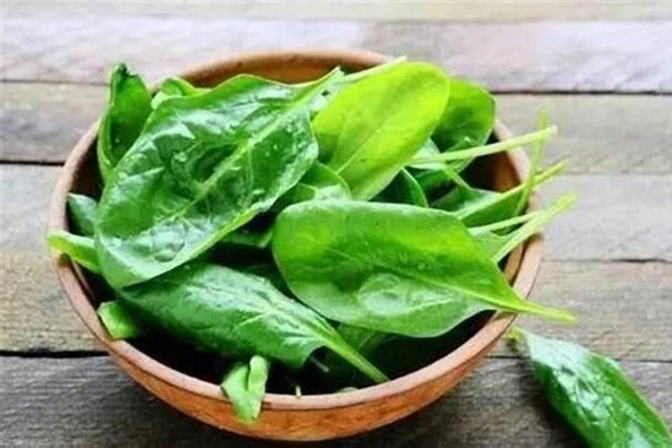 蔬菜用什么肥料好啊？