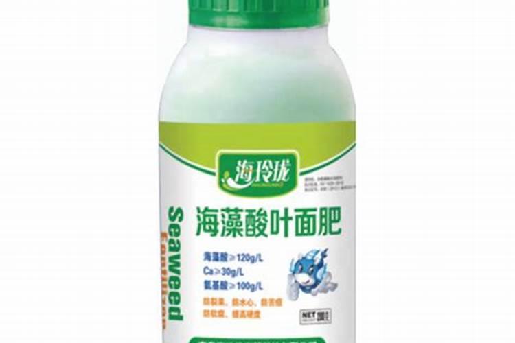 西红柿黄叶子是什么原因