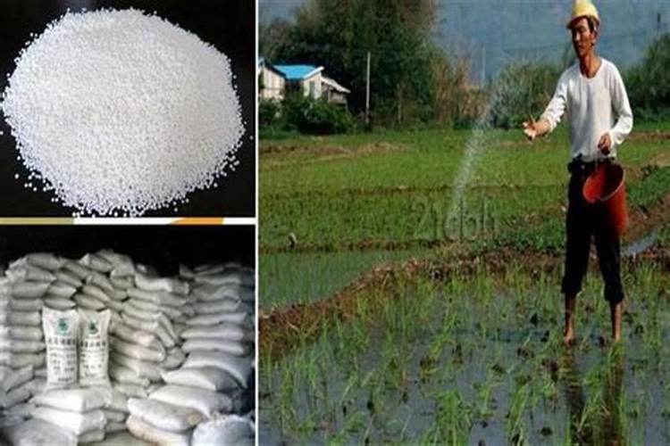 小麦化肥含氮磷钾的量多少最合适