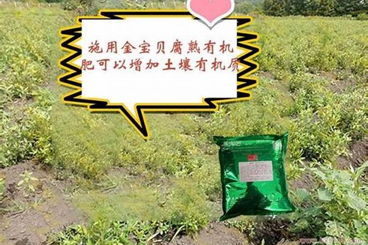 硫铵是什么