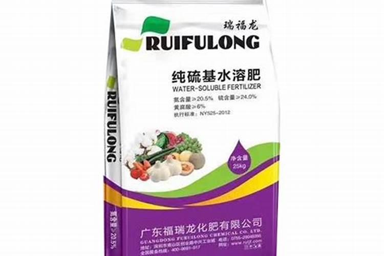 大姜种植中如何施肥