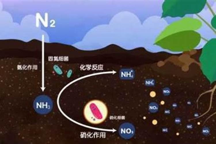雷暴产生的肥料是什么,雷暴形成的必要条件