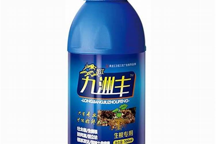 种植鱼腥草要遵循哪些步骤