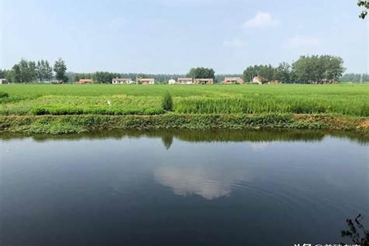 高塔硝基系列复合肥的特点？