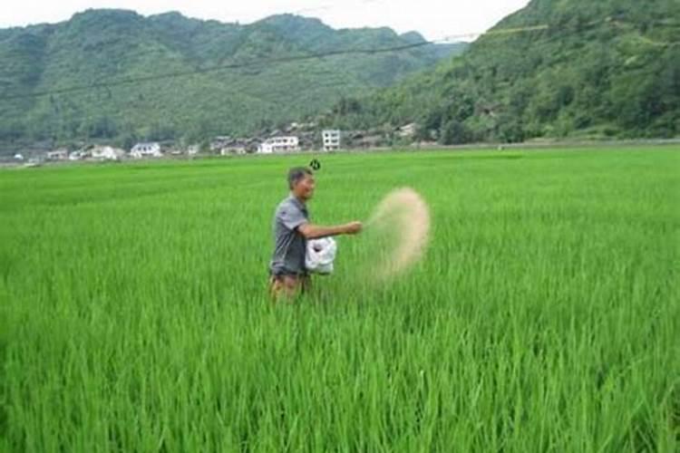 增效氮肥基本定义