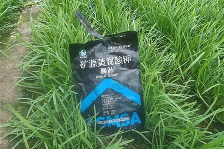 硅肥什么牌子最好