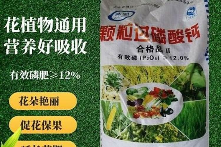 桃树流胶病会影响桃树产量,桃树流胶病有哪些？如何进行防治？