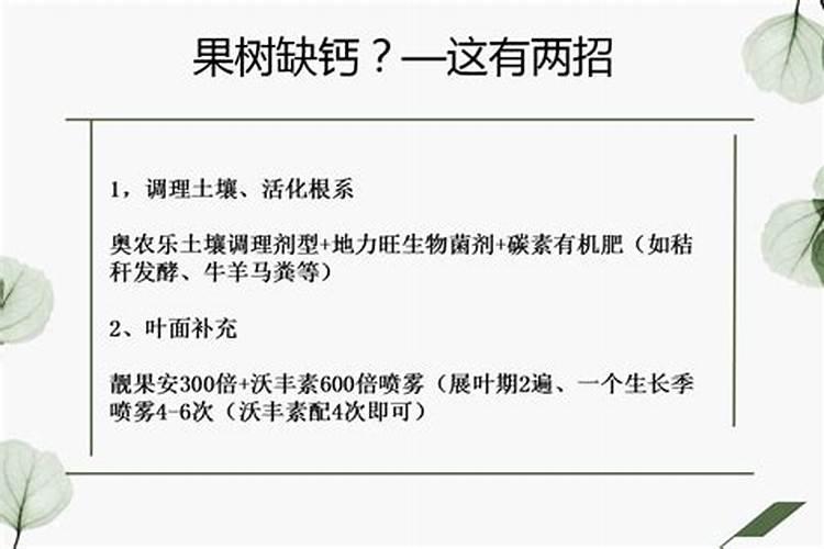 种小番茄和草莓什么时候施肥最好？(在线等)