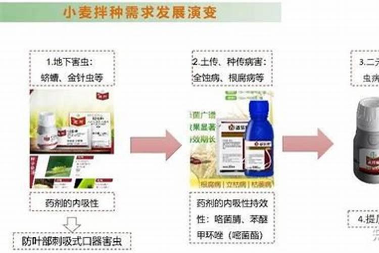 芸苔素能拌麦种吗(芸苔素内酯拌小麦种剂量与用量方法)