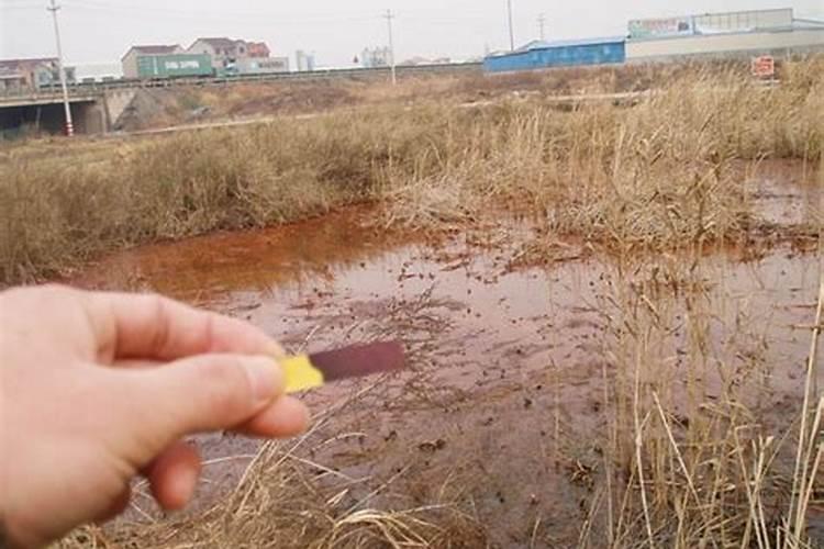 氮肥钾肥磷肥的溶解性
