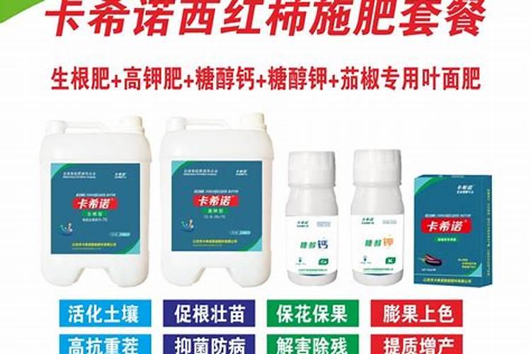 盆栽西红柿施什么肥最好