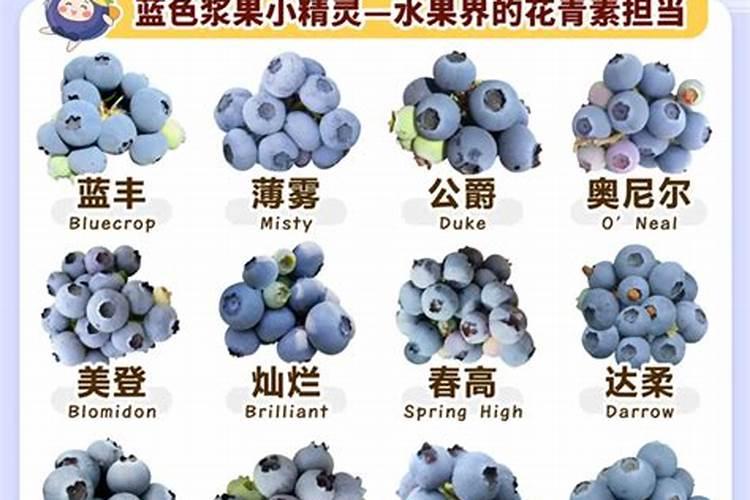 太阳花是不是没有太阳就不开花
