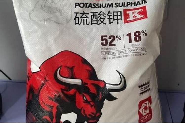 茶花夏天可以施肥吗