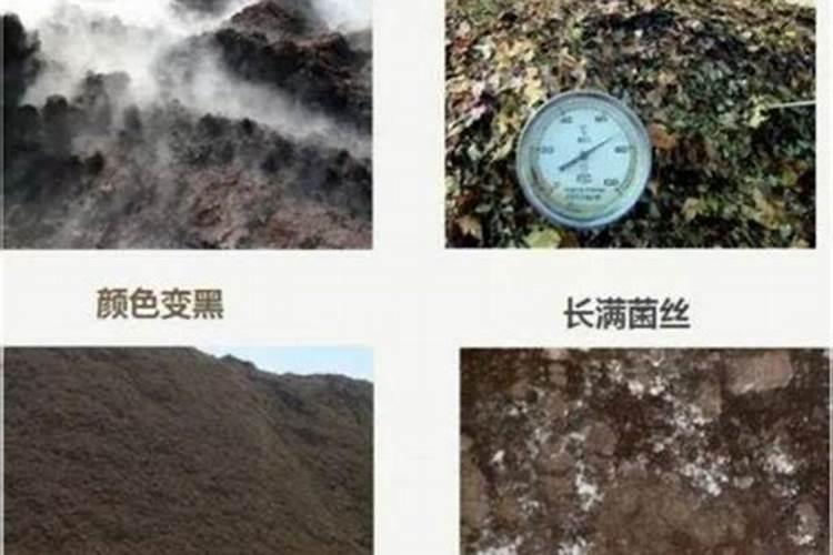 鱼蛋白水溶肥可以浇什么花？