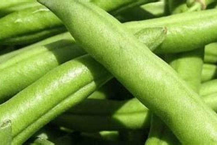 高磷水溶肥适合什么时期使用？